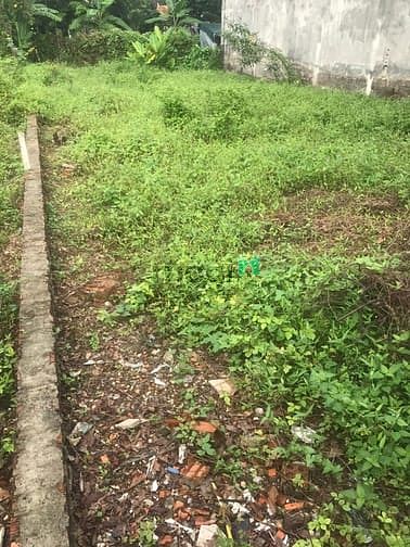 Hình ảnh Chính chủ, cần bán thửa đất mặt tiền đường Linh Đông, sát góc vành đai
