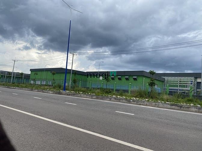 Hình ảnh Chuyển Về Quê Ở CẦN BÁN 1250M2 ĐẤT SHR NGAY KCN BÌNH DƯƠNG, Dân Đông.