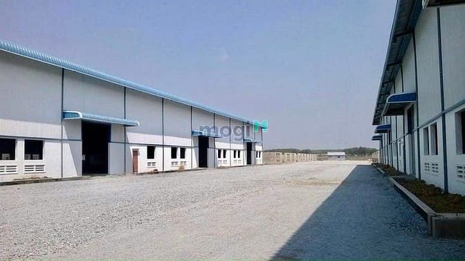 Hình ảnh Chuyển Về Quê Ở CẦN BÁN 1250M2 ĐẤT SHR NGAY KCN BÌNH DƯƠNG, Dân Đông.