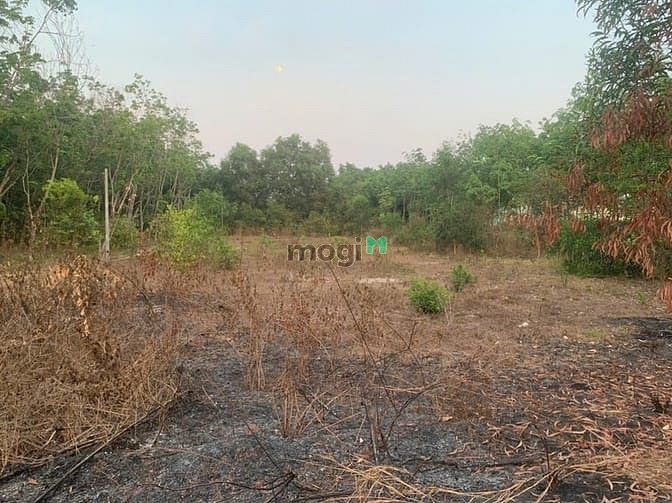 Hình ảnh Bán lô đất mặt tiền đường nhựa có 300 m thổ cư giá rẻ khu dân cư đông