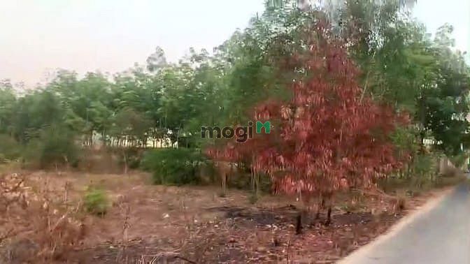 Hình ảnh Bán lô đất mặt tiền đường nhựa có 300 m thổ cư giá rẻ khu dân cư đông