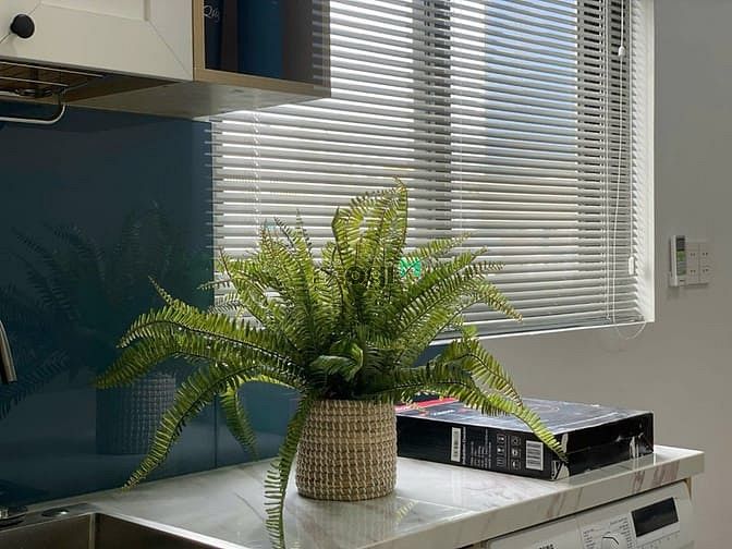 Hình ảnh Cho thuê CHDV mới gần VX Dân Chủ đường 3/2