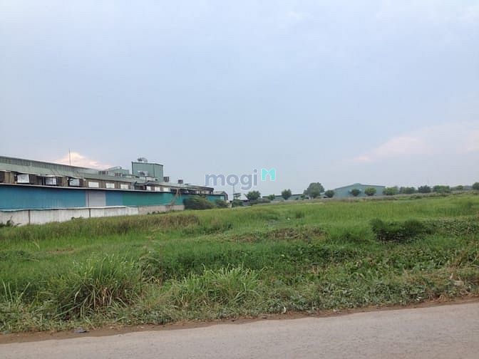 Hình ảnh Bán Đất 5.524m2;gần Phan Văn Hớn,Rộng 83m,đường Contener,chỉ hơn100ty