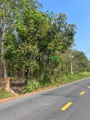 Hình ảnh Đất nền giá rẻ Trừ Văn Thố, Bàu Bàng
