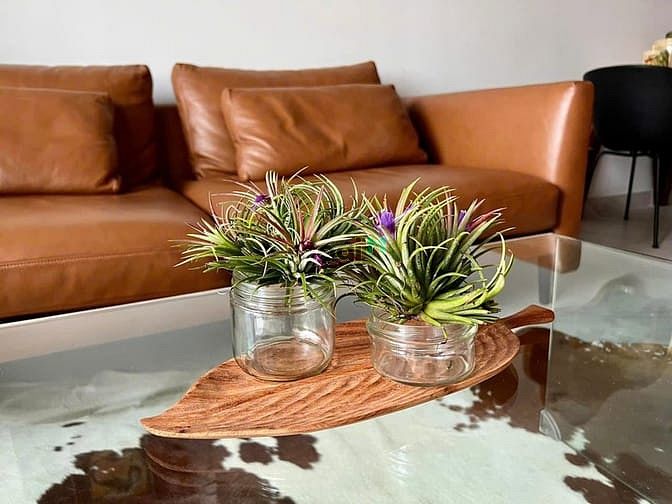 Hình ảnh Bán Trang Chủ MB66.COM / Đăng Ký Tặng 66K Midtown M7, nội thất cao cấp, DT 78m2, 2PN view biệt thự
