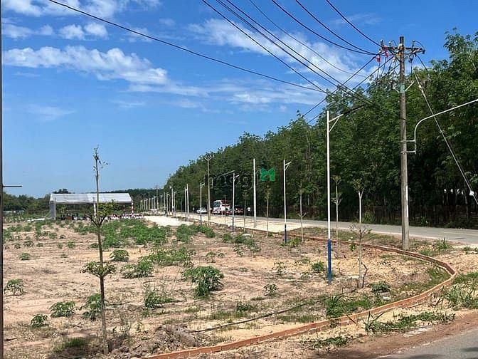 Hình ảnh Đất nền mặt tiền Trừ Văn Thố, Bàu Bàng