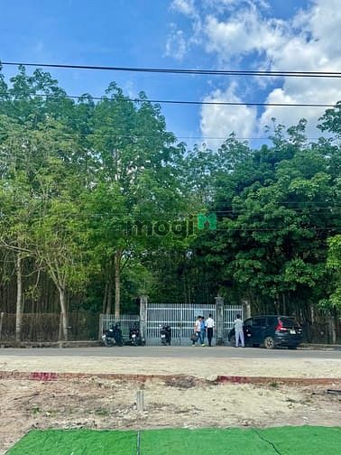 Hình ảnh Đất BÀU BÀNG gần trung tâm giá rẻ CÓ SỔ HỒNG