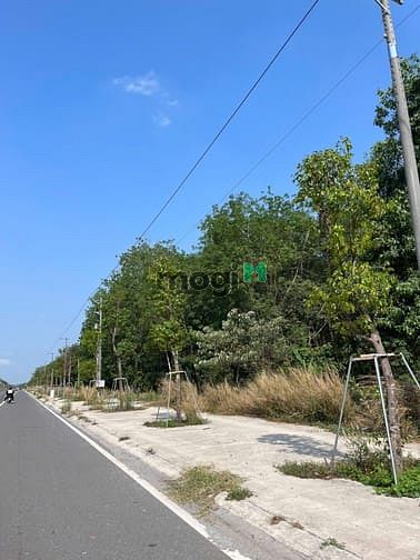 Hình ảnh Đất Bàu Bàng, mặt tiền Trừ Văn Thố giá rẻ