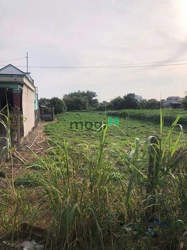 Hình ảnh Bán lô đất đẹp giá rẻ đường 458 trung an xe container chạy