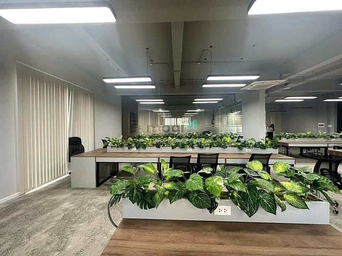 Hình ảnh Cho Thuê cặp 2 căn nhà Phố NGUYỄN CƠ THẠCH SALA chỉ 350 triệu/th