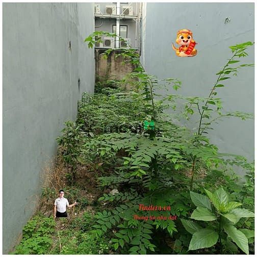 Hình ảnh Cho thuê lâu dài đất trống Nguyễn Hữu Cảnh, P22,Bình Thạnh,4x20m, 10tr