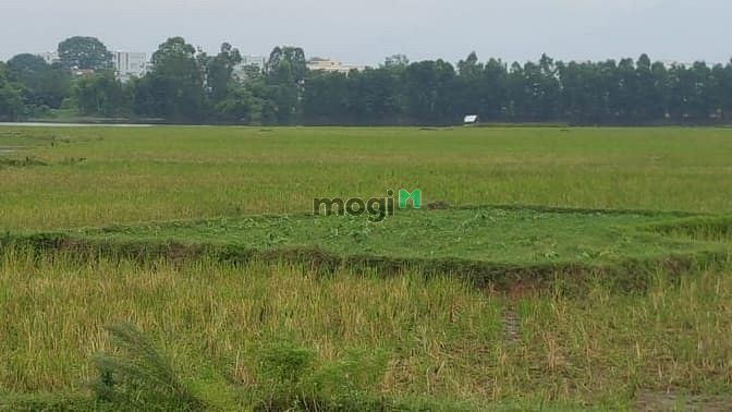 Hình ảnh Bán đất Thị trấn Long Thành, Đồng Nai