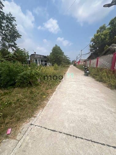 Hình ảnh Hạ giá bán lỗ đất nhà vườn Nhơn Trạch, đường to,thổ, giá rẻ 3,6ty/403m