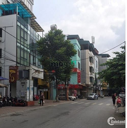 Hình ảnh Mặt bàng phố Phan Kế Bính- Ba Đình