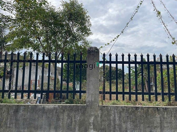 Hình ảnh Hạ giá bán lỗ đất thổ nhà vườn Nhơn Trạch, oto,giá rẻ 6ty/1754M,9 chủ