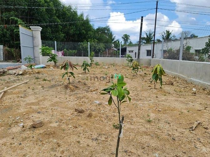 Hình ảnh Bán lỗ đất thổ nhà vườn Nhơn Trạch gần vd3, oto, khu dân cư, 9TY/2000M