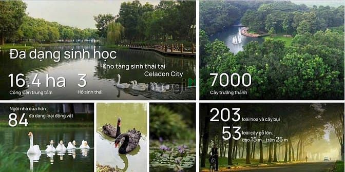 Hình ảnh Nhận giữ chỗ có hoàn lại 200 Trang Chủ MB66.COM / Đăng Ký Tặng 66K Phân khu Diamond -Celadon city