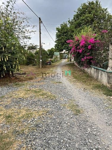 Hình ảnh Bán lời đất quy hoạch đất ở đường xe tải kế bên QL22 khu dân cư đông