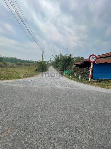 Hình ảnh Bán Đất Thổ Cư tại Cây Da Hiệp Thạnh, Gò Dầu , Tây Ninh