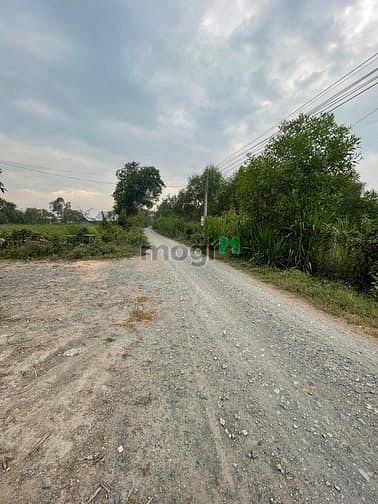 Hình ảnh Bán Đất Thổ Cư tại Cây Da Hiệp Thạnh, Gò Dầu , Tây Ninh
