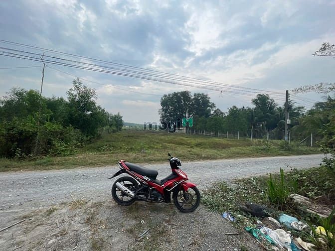 Hình ảnh Bán Đất Thổ Cư tại Cây Da Hiệp Thạnh, Gò Dầu , Tây Ninh