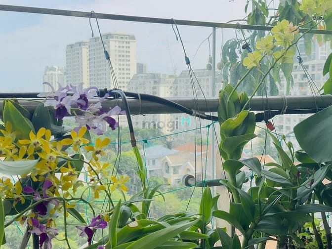 Hình ảnh Bán Nhanh Trang Chủ MB66.COM / Đăng Ký Tặng 66K Midtown - 84m2 - 2PN - view villa ô xe hầm
