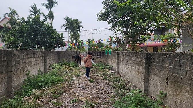 Hình ảnh Đất ở giá 10tr m2 Hợp Thanh, Mỹ Đức, Hà Nội (Có thương lượng)