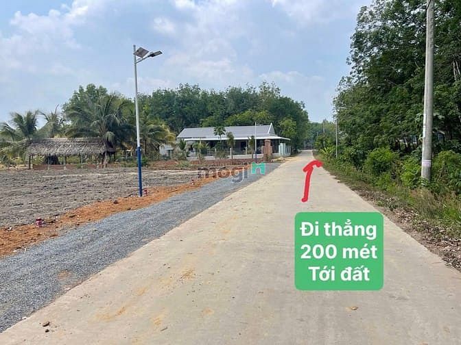 Hình ảnh ĐẤT RẺ Đường bê tông số 16 Minh Lập - Chơn Thành - tỉnh Bình Ph