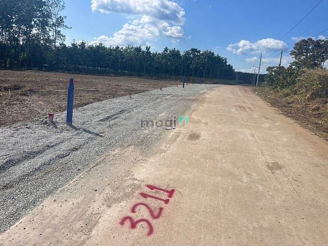 Hình ảnh ĐẤT RẺ Đường bê tông số 16 Minh Lập - Chơn Thành - tỉnh Bình Ph