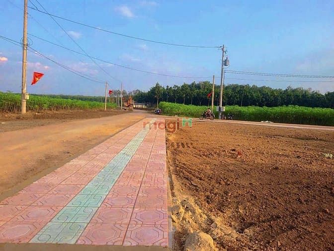 Hình ảnh đường số 16 Minh Lập - thị xã Chơn Thành - tỉnh Bình Phước - Giá 3xx
