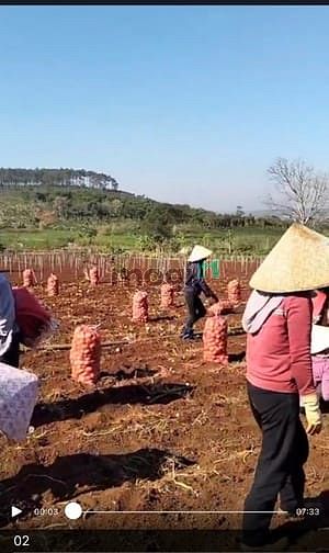 Hình ảnh Bán 8,134m2 Đất Vườn Có Sẵn 800m2 Thổ Cư