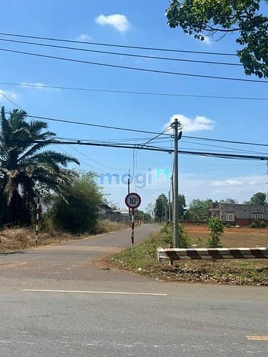 Hình ảnh Ngộp Bank Bán Đất Đường Lê Hồng Phong, Thị Trấn Ngãi Giao, Châu Đức