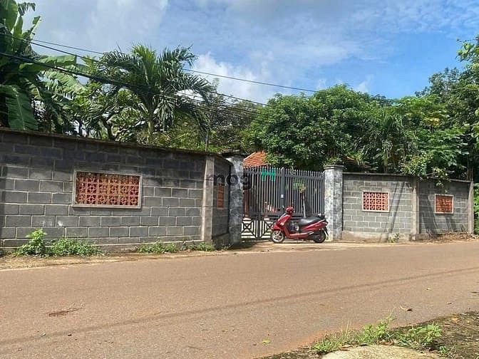 Hình ảnh chính chủ cần bán lô đấy đẹp, có sẵn chòi gỗ & ao cá.