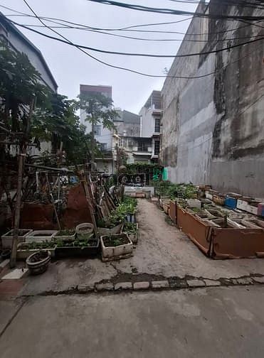Hình ảnh Bán đất lý sơn, thượng thanh 36m x 4,5 vuông vắn, ngõ thông oto chỉ 5