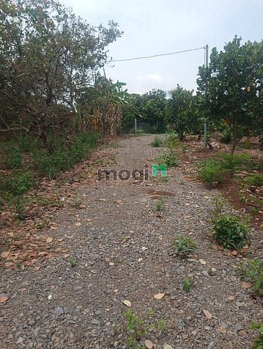 Hình ảnh 5300m2 giá 1,6 tỷ, Long Khánh, Đồng Nai