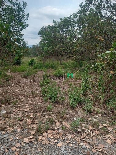 Hình ảnh 5300m2 giá 1,6 tỷ, Long Khánh, Đồng Nai