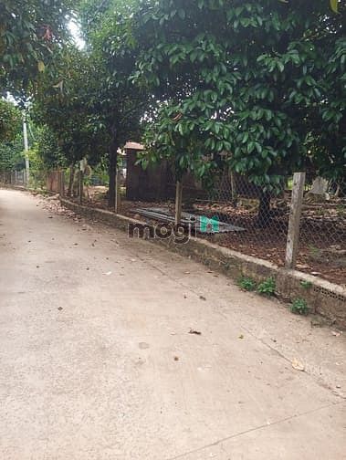 Hình ảnh 132m2 Thổ cư, sổ riêng, Bình Lộc, Long Khánh, ĐN
