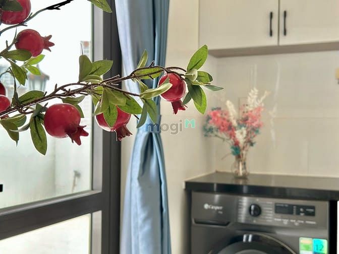 Hình ảnh Cho thuê Trang Chủ MB66.COM / Đăng Ký Tặng 66K một phòng ngủ tách bếp 40m2 Nơ Trang Long Bình Thạnh