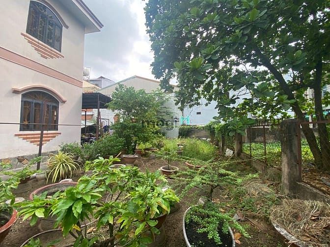 Hình ảnh Cho thuê biệt thự 17x38m Phan Văn Hớn Phường Tân Thới Nhất Quận 12
