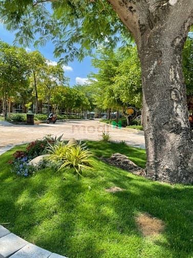 Hình ảnh Bán đất view sông Q9 8000m2 Giá 195 tỷ