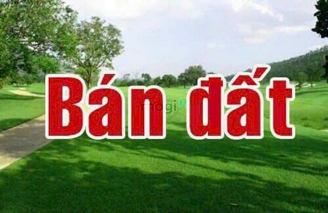 Hình ảnh Bán đât Q9 dt 32000m2 Giá 10tr/m2