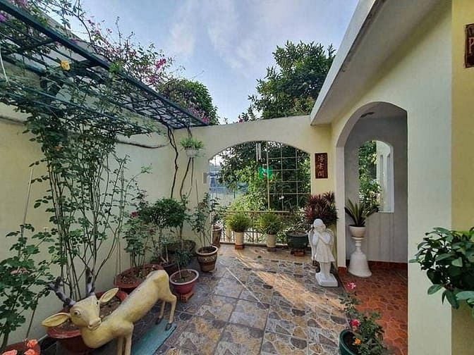 Hình ảnh Biệt thự nghệ thuật, Nhà của đạo diễn nghệ sĩ ưu tú, 205m, Chỉ 52 tỷ