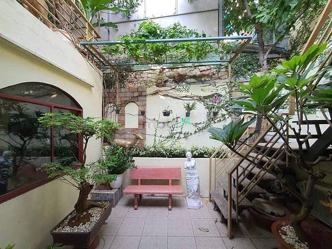 Hình ảnh Biệt thự nghệ thuật, Nhà của đạo diễn nghệ sĩ ưu tú, 205m, Chỉ 52 tỷ