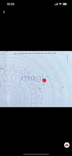 Hình ảnh Bán đất KIM GIANG-69m2 – CÁCH KĐT LINH ĐÀM CHỈ 300m – CHỈ 7,5 TỶ