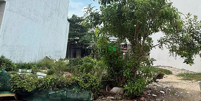 Hình ảnh 🌟 Cần tiền Bán Gấp Lô Đất Ngang 8 m Sát Vành Đai Tây Nhỉnh 2x Tỷ