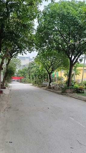 Hình ảnh bán đất phân lô liền kề Mậu Lương- 50m2 giá 10,3 tỷ, đất vuông k lỗi