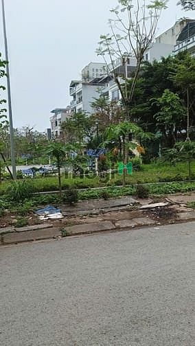 Hình ảnh bán đất phân lô liền kề Mậu Lương- 50m2 giá 10,3 tỷ, đất vuông k lỗi