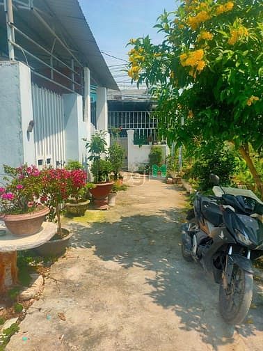 Hình ảnh VH53 Bán nhanh lô đất ehrm 3m đường 23/10 xã Vĩnh Hiệp