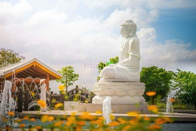 Hình ảnh An cư vĩnh hằng – bình an đời đời