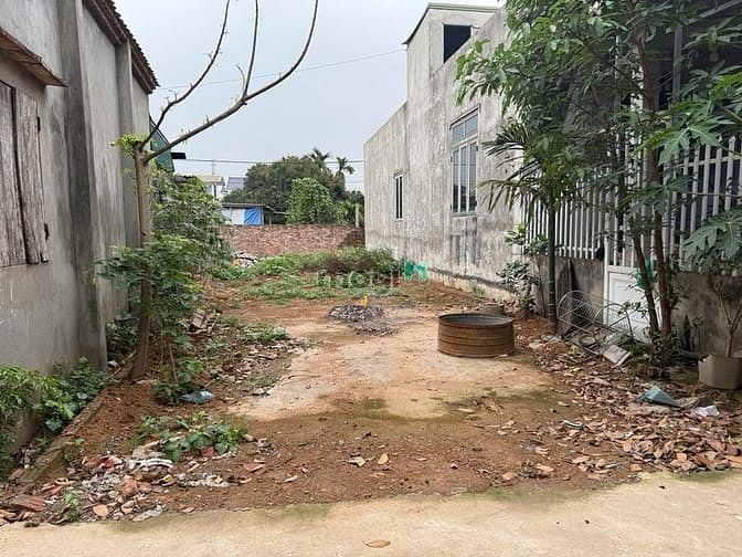 Hình ảnh E có hai lô đất cần bán nhanh ạ 
 nhỉnh tỷ 

65m và 54m xã đông